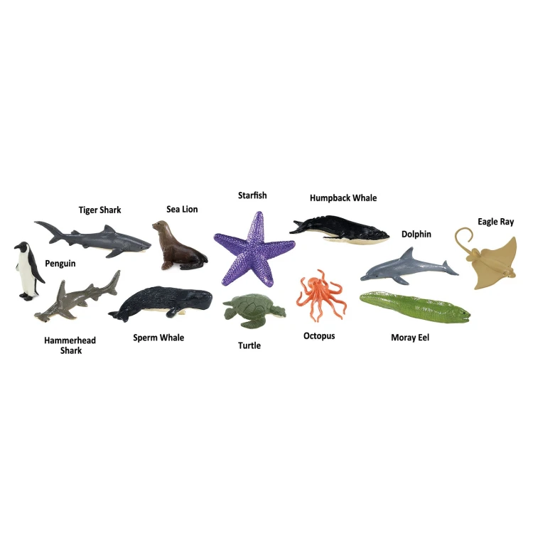 Ocean zwierzęta z opisami