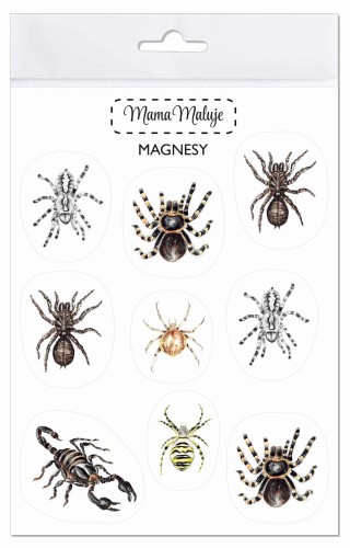 Magnesy na lodówkę Pajęczaki