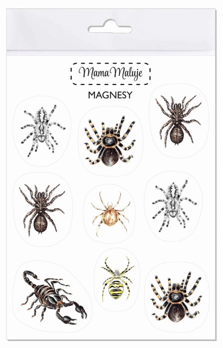 Magnesy na lodówkę Pajęczaki