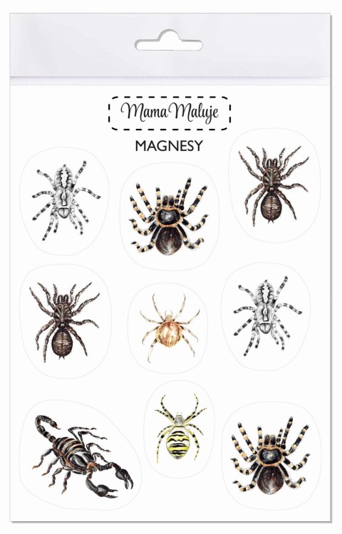 Magnesy na lodówkę Pajęczaki