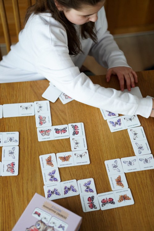 Gra dla dzieci Domino dwustronne Motyle gra