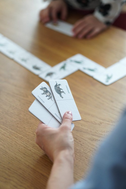 Gra dla dzieci Domino dwustronne Dinozaury gramy