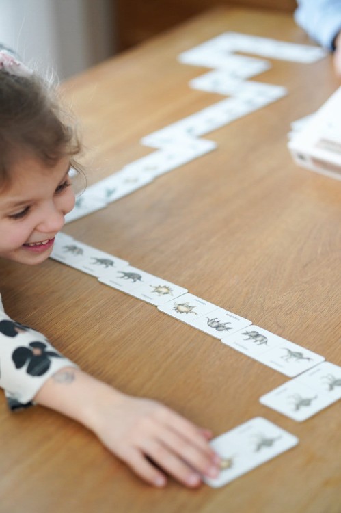Gra dla dzieci Domino dwustronne Dinozaury długa gra