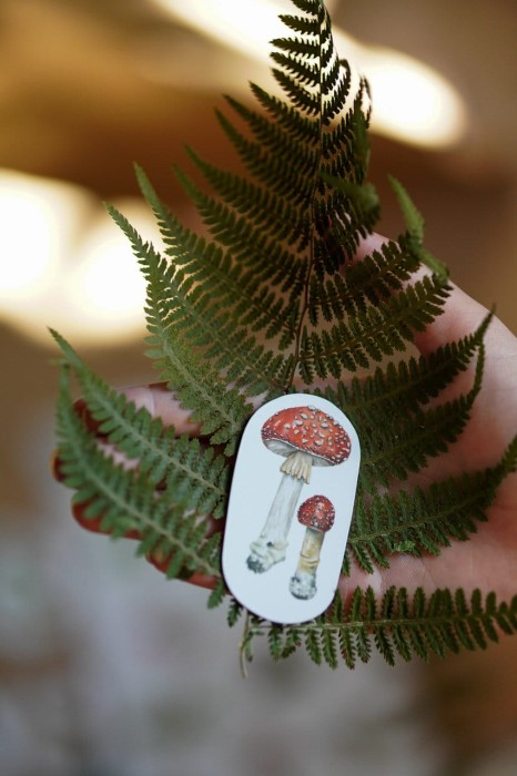 Magnesy na lodówkę leśne botaniczne muchomor czerwony