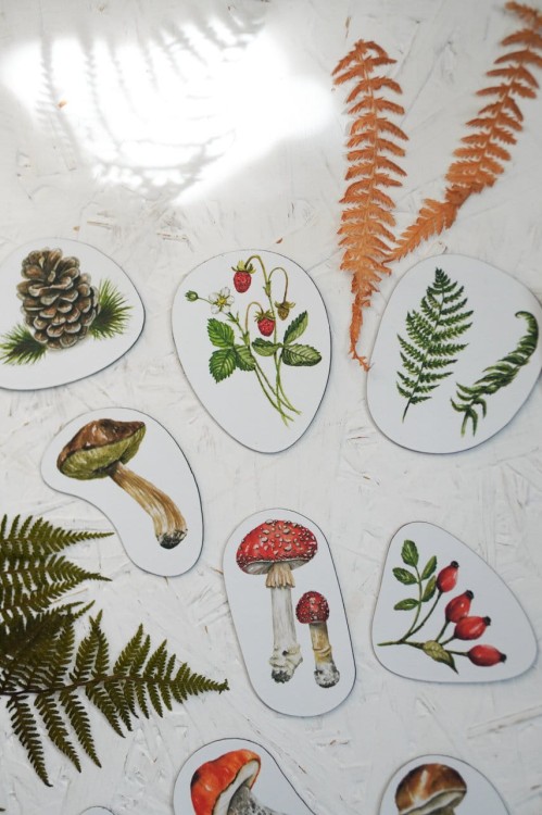Magnesy na lodówkę leśne botaniczne paprocie