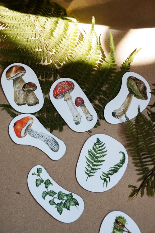 Magnesy na lodówkę leśne botaniczne osobne