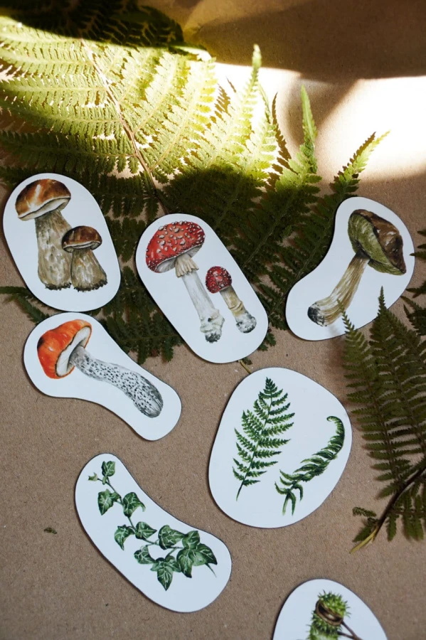Magnesy na lodówkę leśne botaniczne osobne