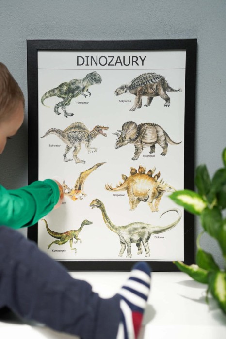 Plakat edukacyjny Dinozaury w ramce