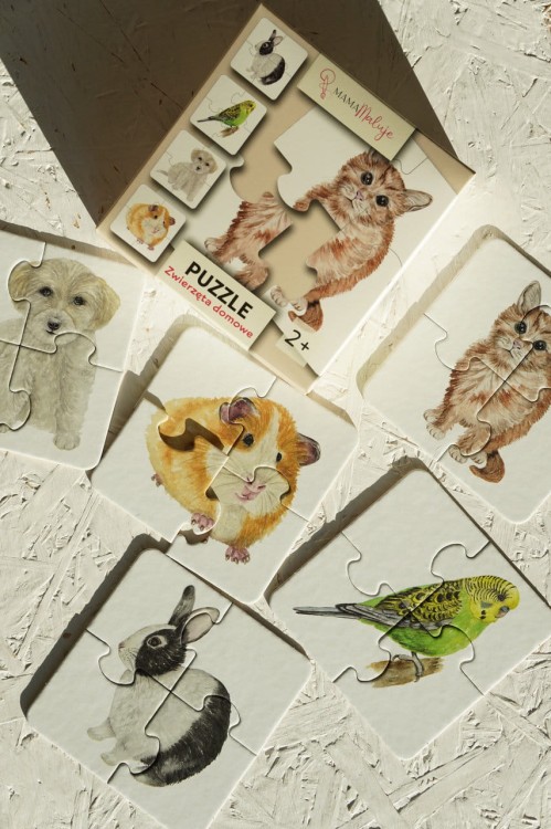 Puzzle 4-elementowe Zwierzęta domowe z pudełkiem