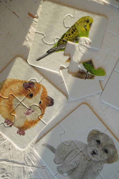 Puzzle 4-elementowe Zwierzęta domowe 3 puzzle