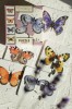 Puzzle 4-elementowe Motyle otwarte