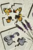 Puzzle 4-elementowe Motyle puzzle