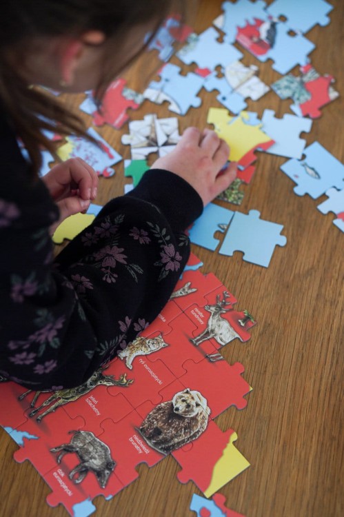 Puzzle edukacyjne Europa 120 elementów układanie