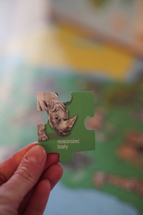 Puzzle ze zwierzętami Afryki