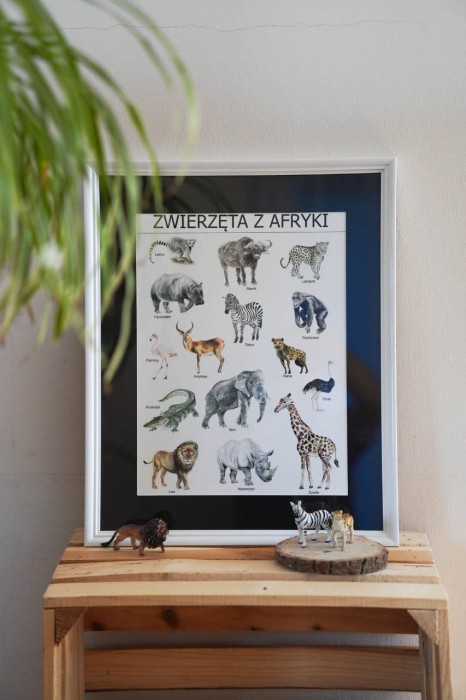 Plakat edukacyjny Zwierzęta Afryki w ramce