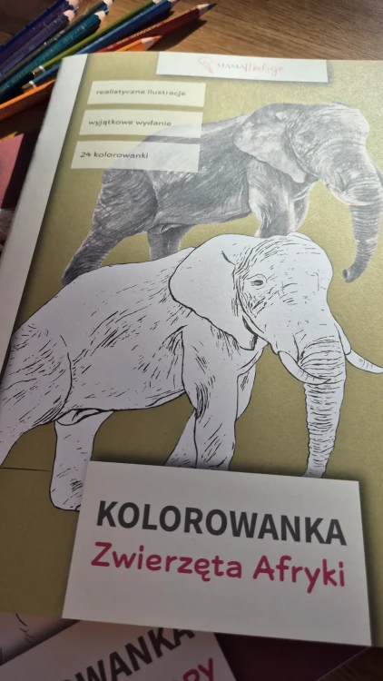 Kolorowanka zwierzęta z Afryki