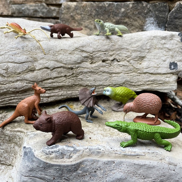 Australia figurki edukacyjne