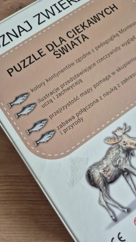 Puzzle120.webp